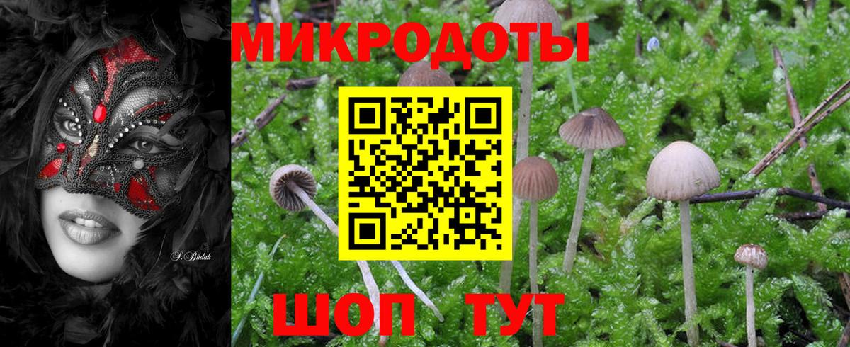 Псилоцибиновые грибы мицелий Усть-Джегута