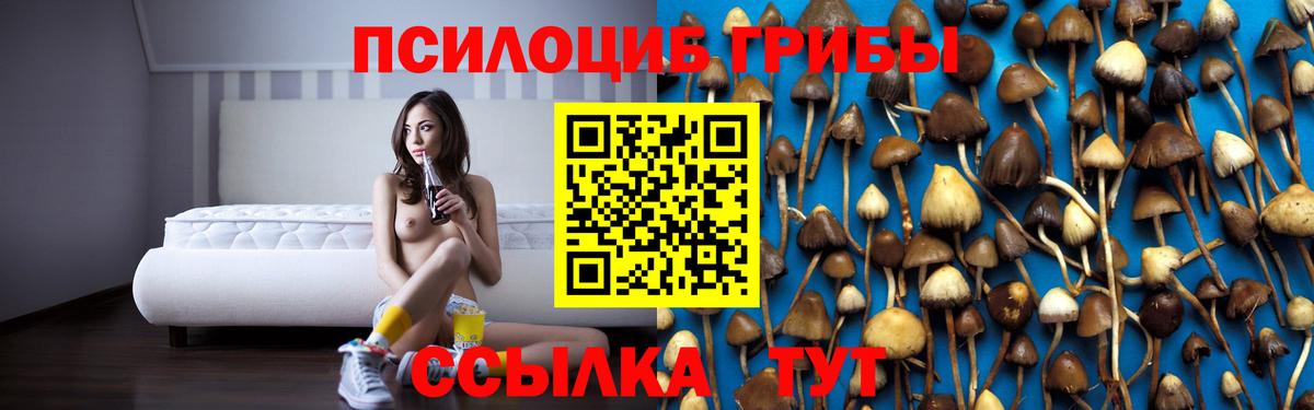 Галлюциногенные грибы Psilocybine cubensis  Вход с VPN  Галлюциногенные грибы Magic Shrooms  Усть-Джегута 